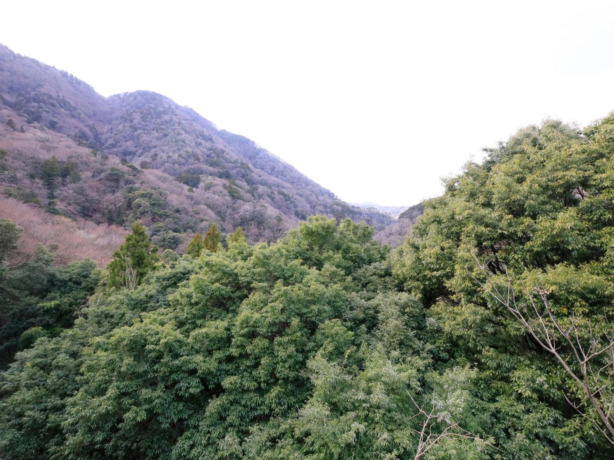 Hot Spring Inn Hakone Suisen Exterior photo